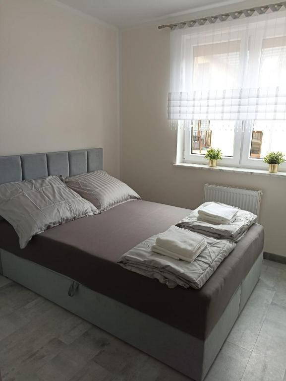 Apartament Brzeg Luaran gambar